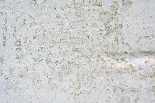 Plaster wall