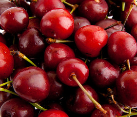 Group of Cherries forming a texture. cherry fruits.