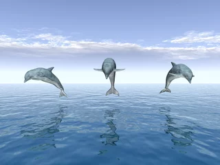 Fototapeten Springende Delfine © Michael Rosskothen