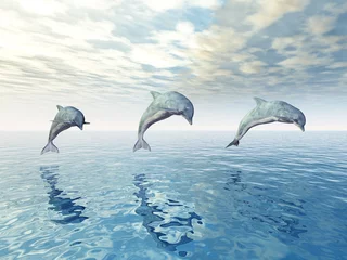 Foto auf Glas Springende Delfine © Michael Rosskothen