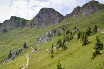 Fototapeta na wymiar Die Rotwand im Mangfallgebirge (bayrische Alpen)