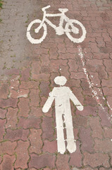 Obraz na płótnie Canvas pathway for bicycle & pedestrian