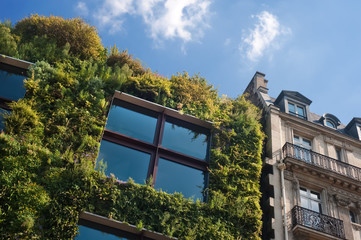Naklejka premium zielona fasada - Muzeum Branly