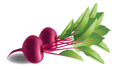 Vector of a couple of beetroots