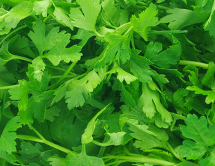 Parsley