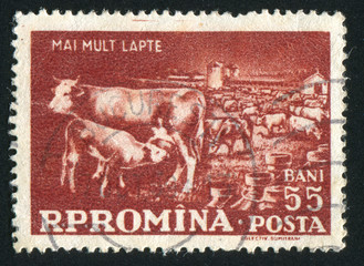 stamp bull