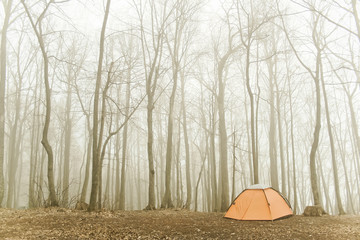 tourist tent stands in the misty forest