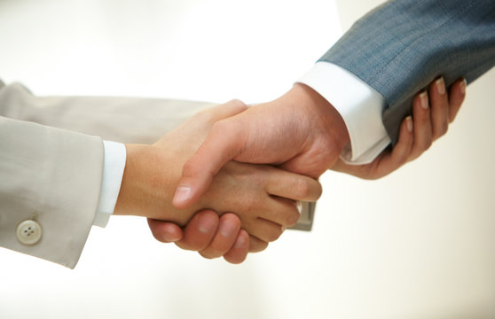 Handshake of partners
