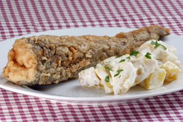frisch gebackener Zander mit Kartoffelsalat auf einem Teller