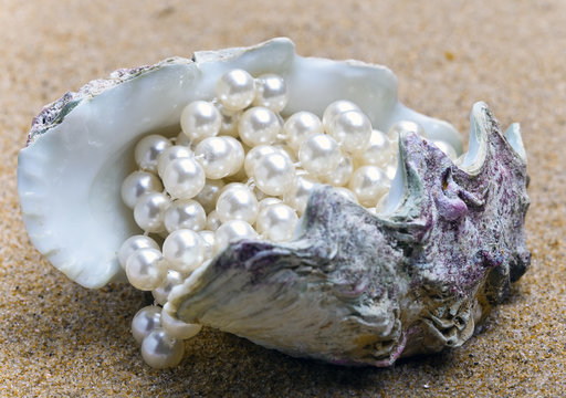Pearl and shell