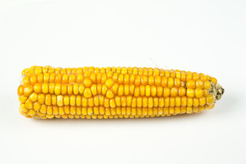 corn cob, white background