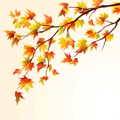 Autumn maple branch - 34500600