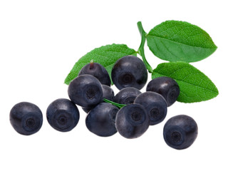 Blueberry isolated on white background