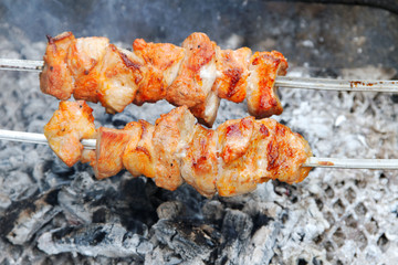 Meat on skewer.
