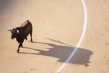 Wandcirkels aluminium Traditional corrida - bullfighting in spain © kasto