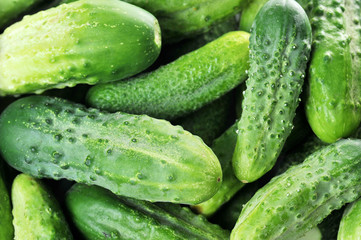 green cucumbers.