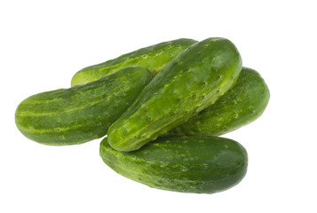 homegrown organic green cucumber gherkin, isolated