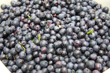 Fresh washed blueberry background
