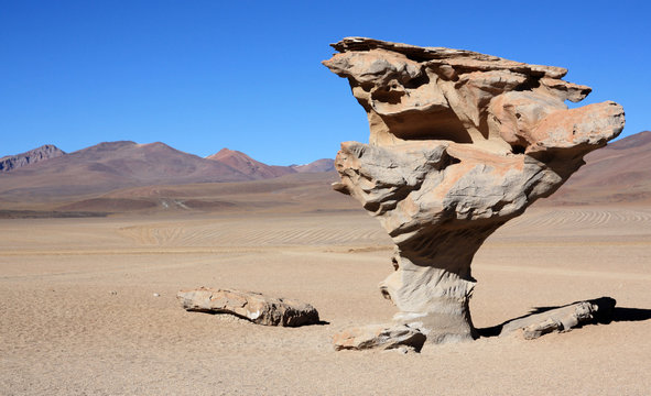 L'arbre de pierre (Arbol de Piedra)