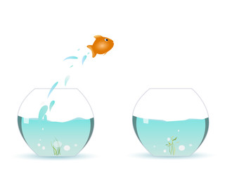 Goldfish jumping