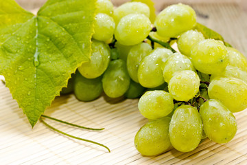 Bunch of white grapes with drops of dew