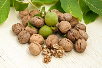 Walnuts with green leaves and immature fruit