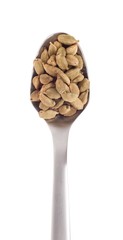Cardamom pods