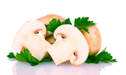 mushrooms isolated on white