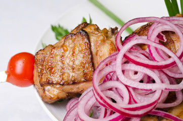 Grilled kebab meat closeup