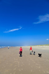 Fototapeta na wymiar Women walking with dogs on the beach