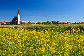 Church and flower field on a sunny day