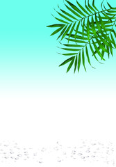 красивый фон