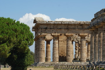 Obraz premium Paestum