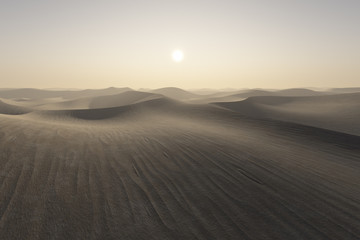 Fototapeta na wymiar pustynnym słońca