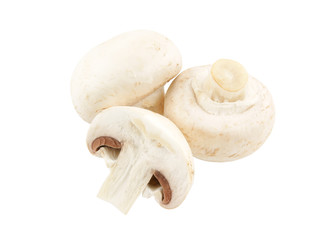 Fototapeta na wymiar Champignon mushrooms isolated on white backround