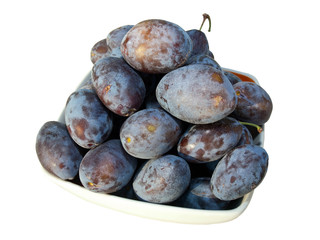Fresh pulms