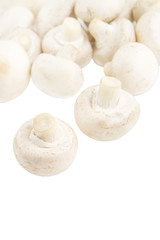 Champignon mushrooms isolated on white backround