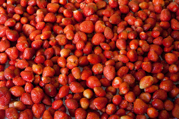 Fresh organic strawberry