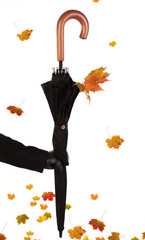 Picture of humans hand in black gloves holding an umbrella