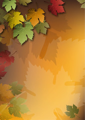 Background / Herbstmotiv 1 / autumn colors