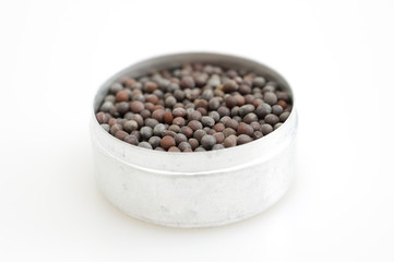 Mustard Seeds
