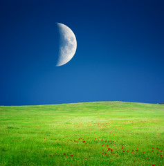 Moon and spring meadow