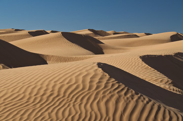 Dunes du Sahara