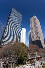 Obraz premium 新宿高層ビル街