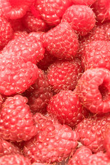 Ripe red raspberries