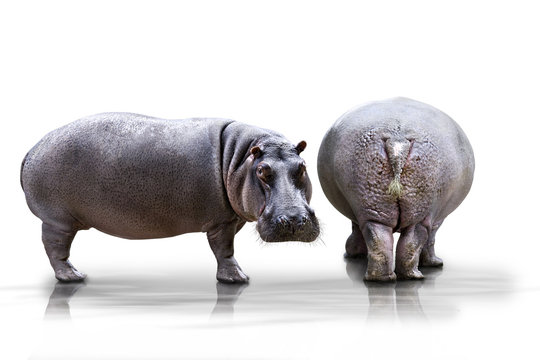 von der sch&ouml;nen Seite