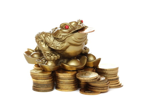 Feng Shui frog sitting on money.