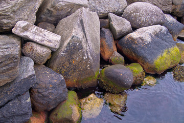 Fototapeta na wymiar Shore made of rocks in Norwegian fjord
