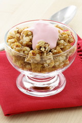 delicious and healthy granola