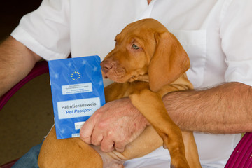 EU Heimtierausweis